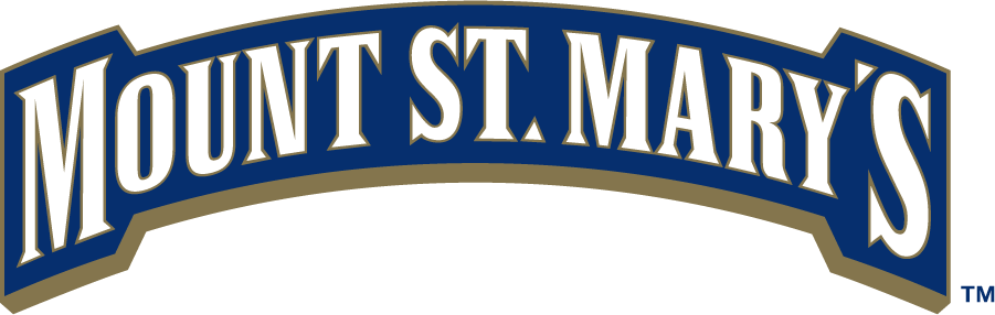 Mount St. Marys Mountaineers 2006-2016 Wordmark Logo diy iron on heat transfer